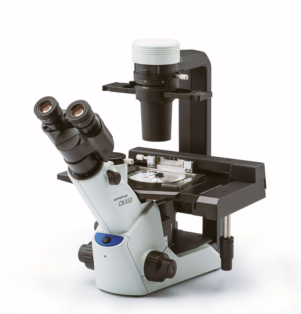 inverted microscope for lab