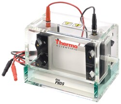 gel electrophoresis system